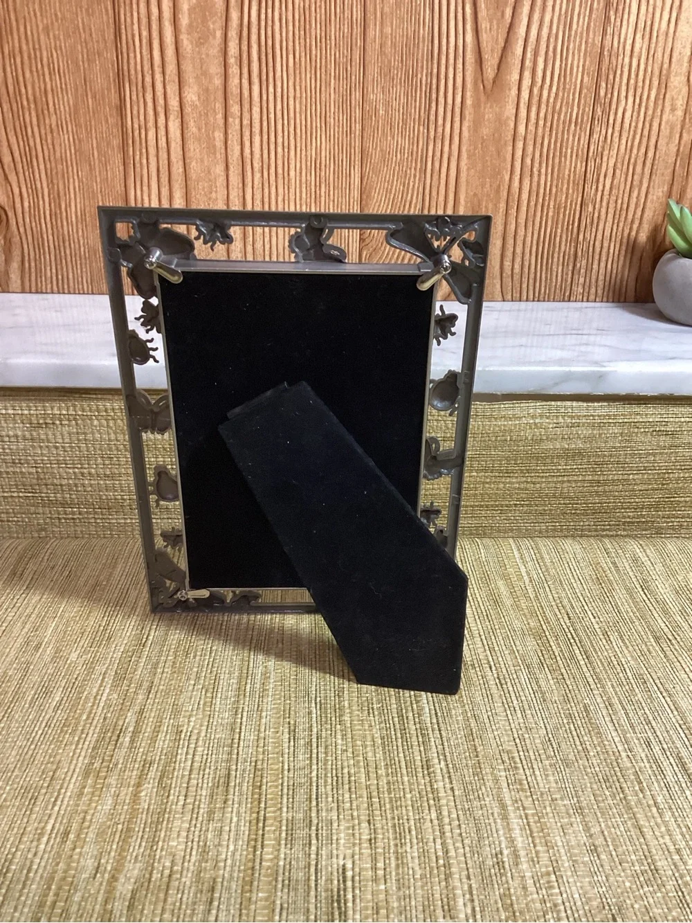 Silver Butterfly & Dragonfly and Beetle Bug  Photo Frame - Silver holds 4x6